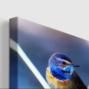 Reproductie op Canvas